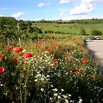 Weinviertel Holiday home