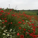 Weinviertel Holiday home Pernersdorf