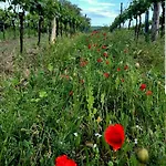 Weinviertel Holiday home Pernersdorf