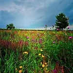 Weinviertel Holiday home Pernersdorf
