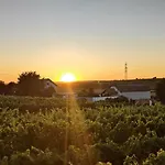 Weinviertel Holiday home *