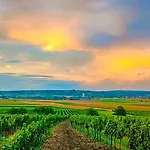 Weinviertel Holiday home Pernersdorf