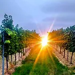 Weinviertel Pernersdorf