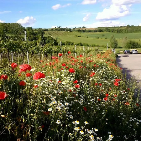 Weinviertel Σπίτι διακοπών