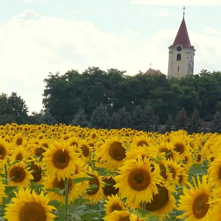 Weinviertel Semesterbostad Pernersdorf