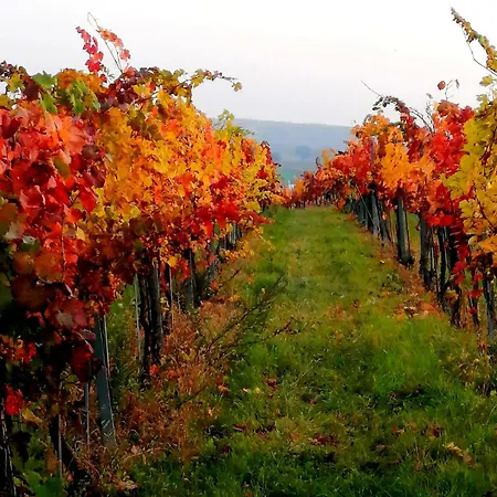 Weinviertel Semesterbostad Pernersdorf