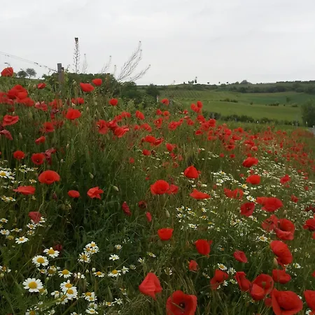 Weinviertel Semesterbostad Pernersdorf