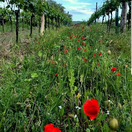 Weinviertel Semesterbostad Pernersdorf