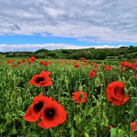 Weinviertel