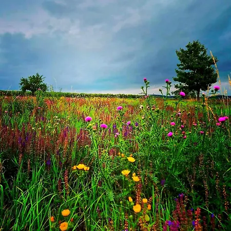 Weinviertel Σπίτι διακοπών Pernersdorf