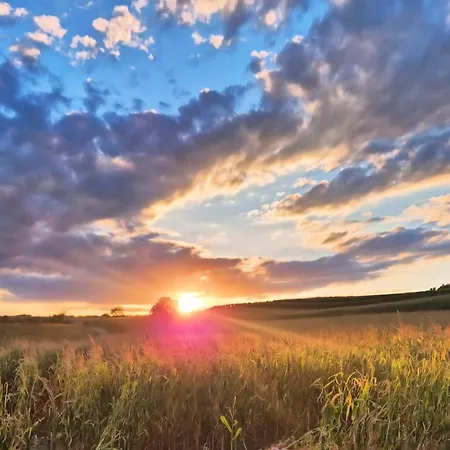 Σπίτι διακοπών Weinviertel