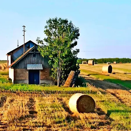 Weinviertel Holiday home *