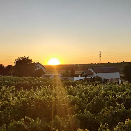 Weinviertel Holiday home *