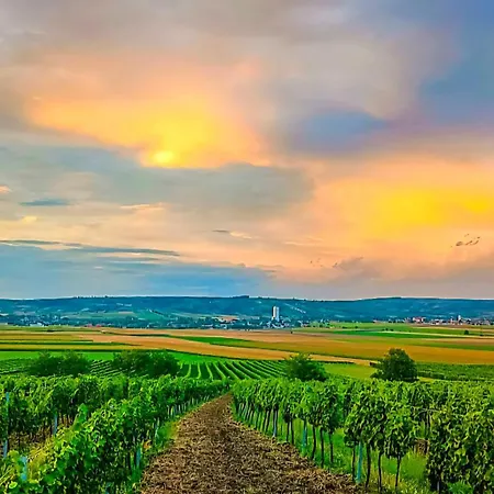 Weinviertel Σπίτι διακοπών Pernersdorf