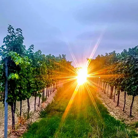 Weinviertel - Klimatisiert Pernersdorf