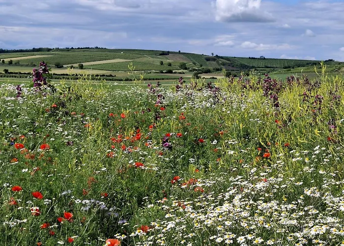 Weinviertel Сasa de vacaciones Pernersdorf