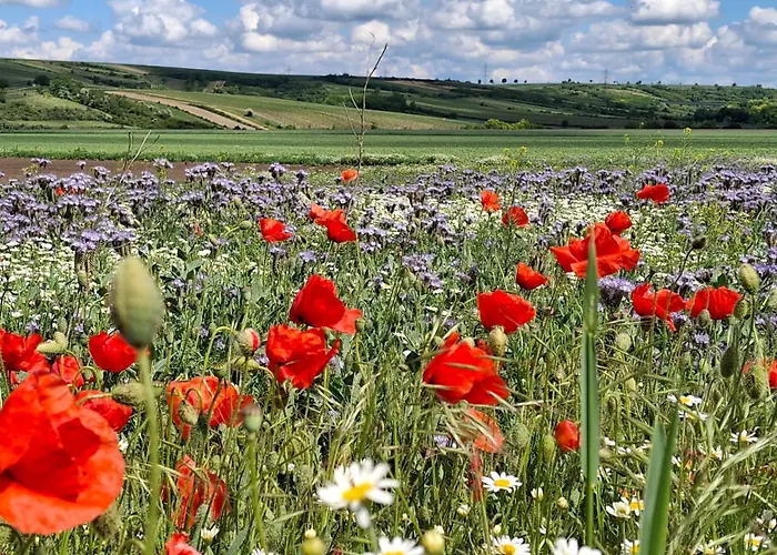 Сasa de vacaciones Weinviertel Pernersdorf