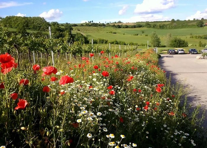 Weinviertel Сasa de vacaciones
