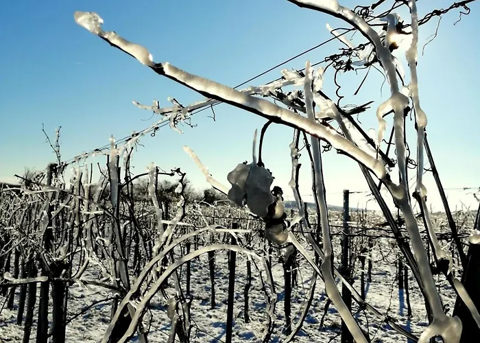 Weinviertel Сasa de vacaciones Pernersdorf