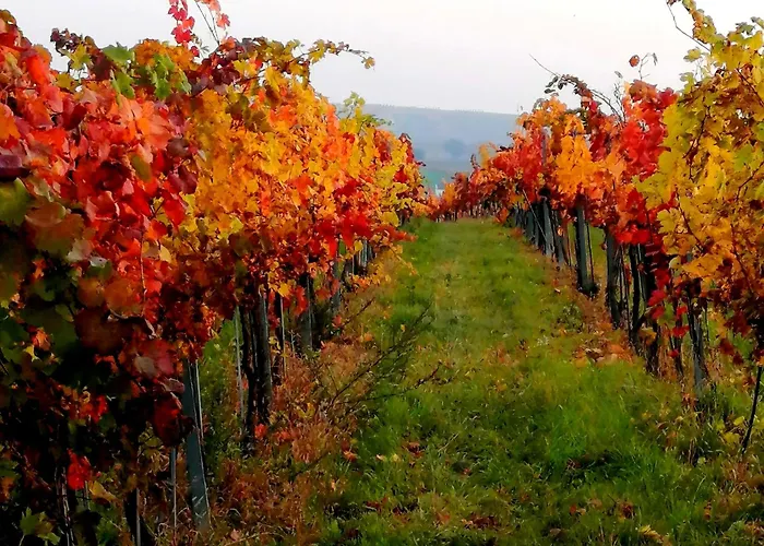 Weinviertel Сasa de vacaciones Pernersdorf