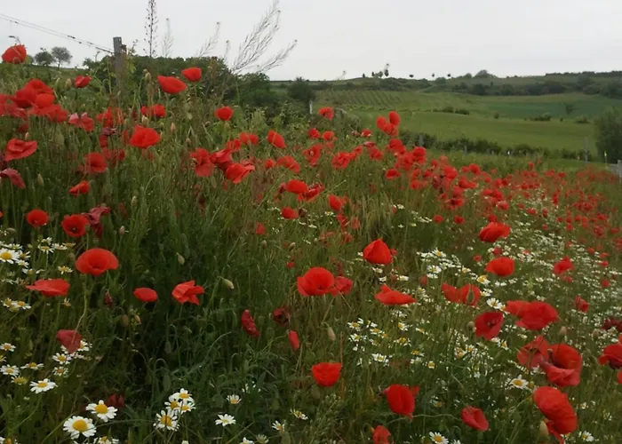 Weinviertel Сasa de vacaciones Pernersdorf