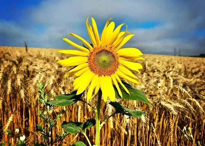 Сasa de vacaciones Weinviertel Pernersdorf