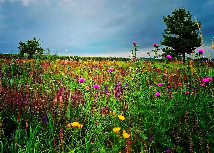 Weinviertel Сasa de vacaciones Pernersdorf