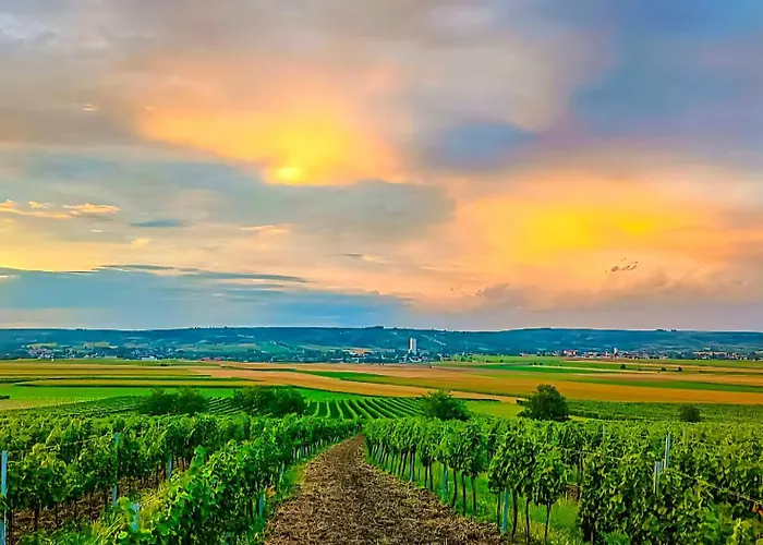 Weinviertel Сasa de vacaciones Pernersdorf