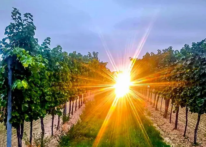 Weinviertel Pernersdorf